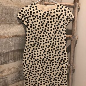 JCrew Dress